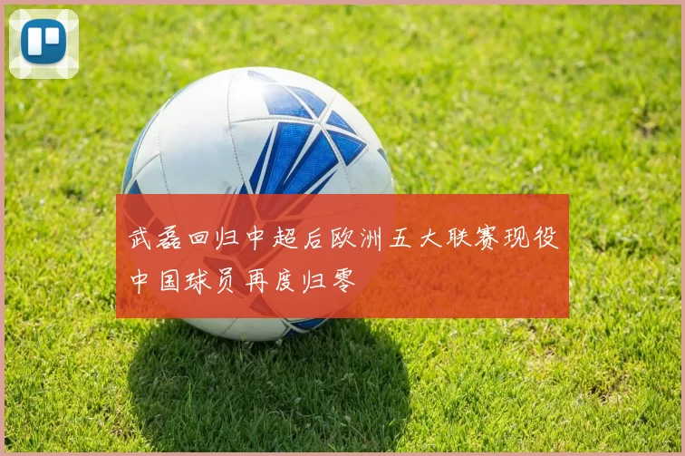 武磊回归中超后欧洲五大联赛现役中国球员再度归零