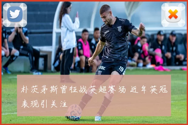 朴茨茅斯曾征战英超赛场 近年英冠表现引关注