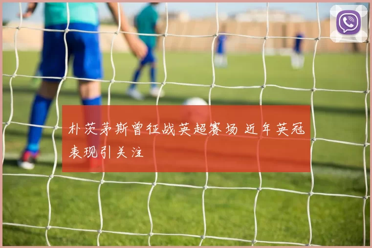 朴茨茅斯曾征战英超赛场 近年英冠表现引关注