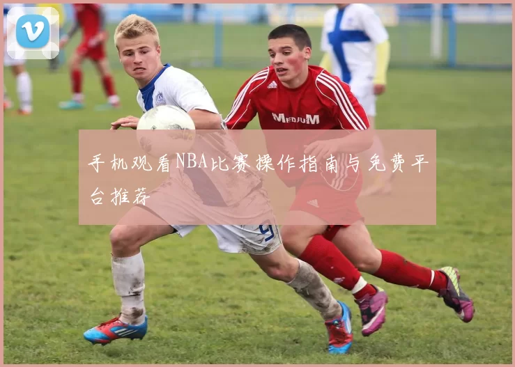 手机观看NBA比赛操作指南与免费平台推荐
